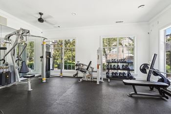 A spacious gym with a variety of equipment.